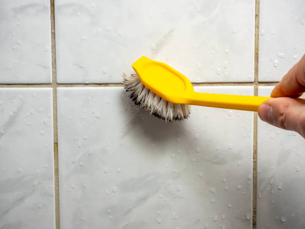 Best Mold Removal Company Near Me  in Poteet, TX