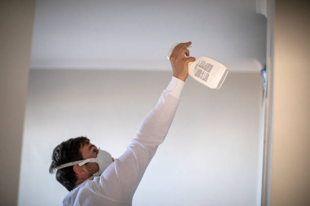 Certified Mold Removal in Poteet, TX