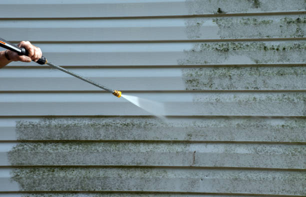 Best Attic Mold Removal  in Poteet, TX