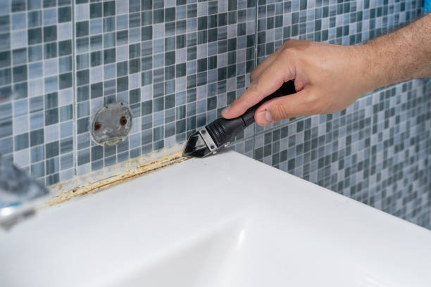 Best Office Mold Removal Services  in Poteet, TX