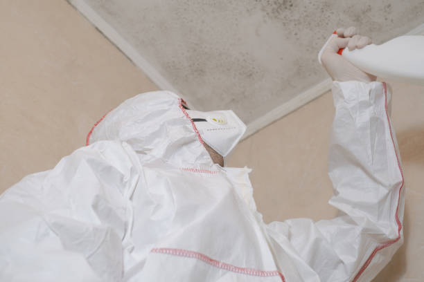 Best Mold Removal Process  in Poteet, TX