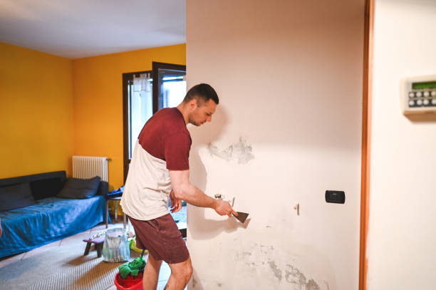 Best Emergency Mold Removal  in Poteet, TX